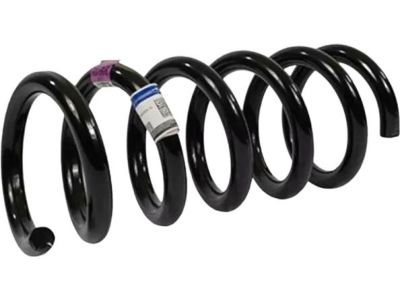 Ford FR3Z-5560-AJ Coil Spring