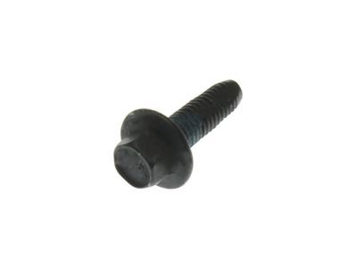 Ford -W706897-S900 Door Check Bolt