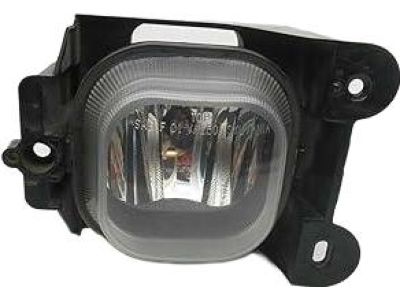 Ford 6L5Z-15200-AA Fog Lamp Assembly