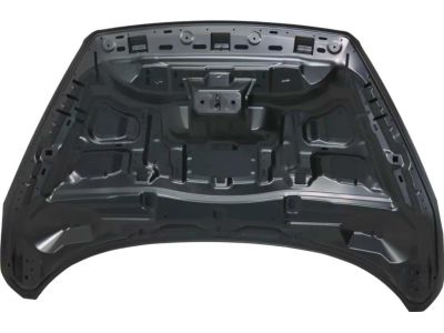 Ford GJ5Z-16612-A Hood