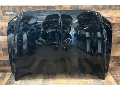 Ford GD9Z-16612-A Hood