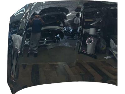 Ford GD9Z-16612-A Hood