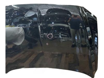 Ford GD9Z-16612-A Hood