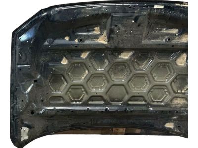 Ford GD9Z-16612-A Hood