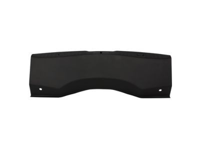 Ford DP5Z-5411318-LA Rear Sill Plate