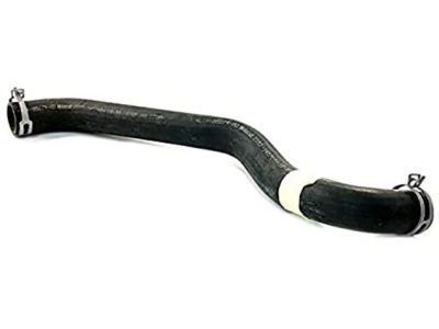 Ford 4L1Z-8260-AA Upper Hose