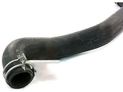 Ford 4L1Z-8260-AA Upper Hose