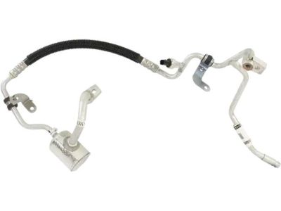 Ford DG9Z-19972-D Hose & Tube Assembly