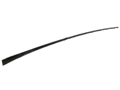 Ford BM5Z-5803178-A Pillar Molding Retainer Strip