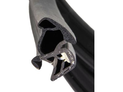 Ford 8L5Z-1320709-A Weatherstrip On Body