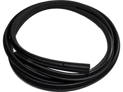 Ford 8L5Z-1320709-A Weatherstrip On Body