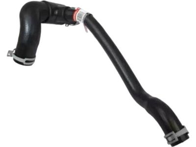 Ford 6W1Z-8286-A Lower Hose