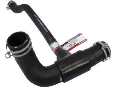 Ford 6W1Z-8286-A Lower Hose