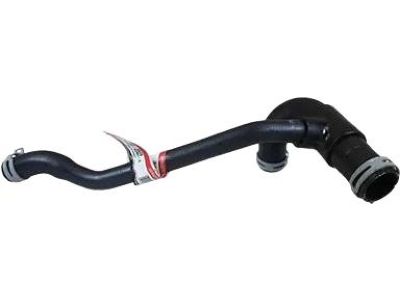 Ford 6W1Z-8286-A Lower Hose
