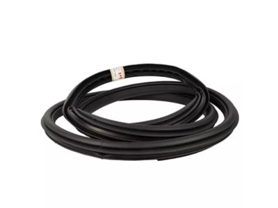 Ford KL3Z-16253A11-A Weatherstrip On Body