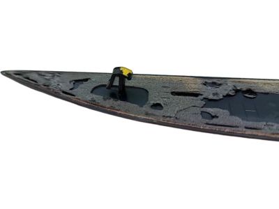 Ford KA1Z-16228-AA Nameplate