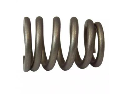 Ford YF1Z-6513-CA Valve Springs