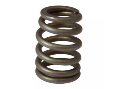 Ford YF1Z-6513-CA Valve Springs