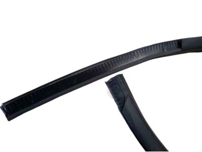 Ford BL3Z-16253A10-A Weatherstrip On Body