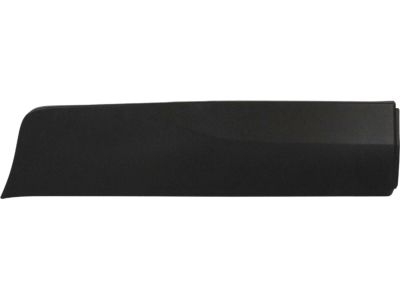 Ford GN1Z-78101A05-BA Side Molding