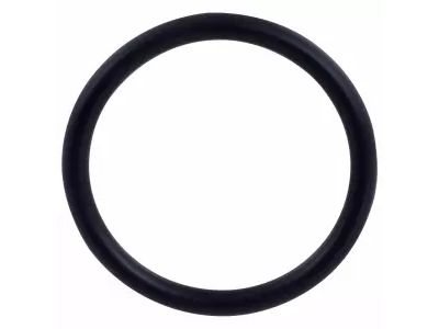 Ford HL3Z-8527-B Thermostat Housing O-Ring