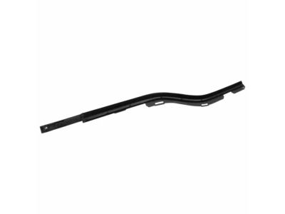 Ford FL3Z-1521453-E Belt Molding