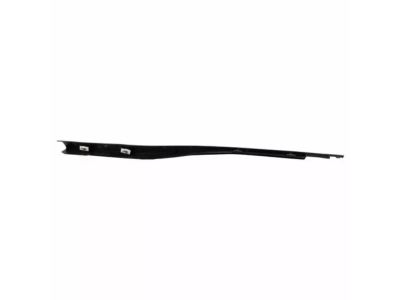 Ford FL3Z-1521453-E Belt Molding