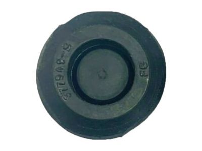 Ford -377949-S Drain Hose Plug