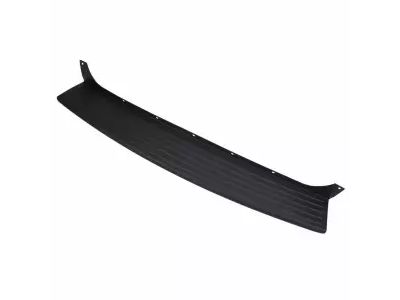 Ford 6L9Z-17B807-AAA Step Pad