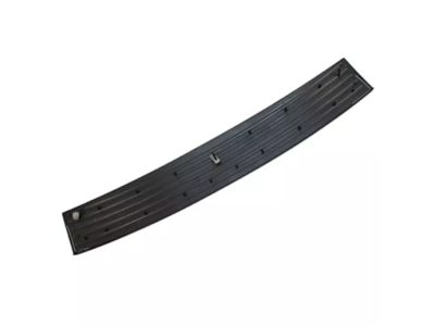 Ford 6L9Z-17B807-AAA Step Pad