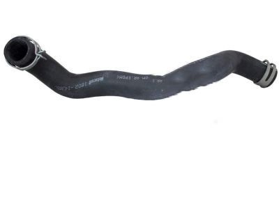 Ford 4L3Z-8286-BC Lower Hose