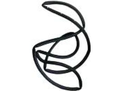 Ford 1W4Z-5425325-AA Door Weatherstrip