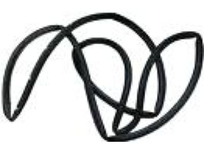 Ford 1W4Z-5425325-AA Door Weatherstrip