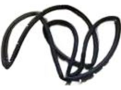 Ford 1W4Z-5425325-AA Door Weatherstrip