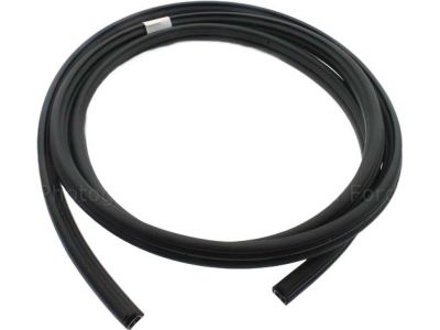 Ford BL3Z-1520708-A Weatherstrip Assembly - Door Opening