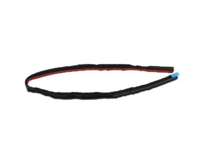 Ford 4L3Z-16253A20-AA Seal Strip