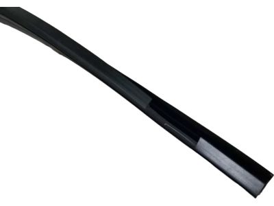 Ford AE5Z-5421596-A Run Channel