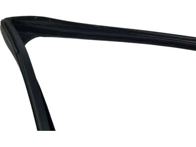 Ford AE5Z-5421596-A Run Channel