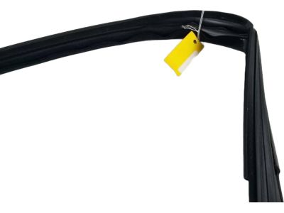 Ford AE5Z-5421596-A Run Channel