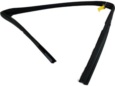 Ford AE5Z-5421596-A Run Channel