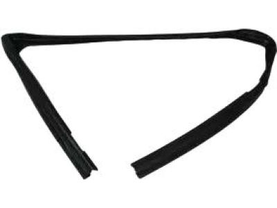 Ford AE5Z-5421596-A Run Channel