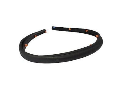 Ford CJ5Z-16B990-A Front Weatherstrip