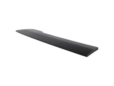 Ford DT1Z-6129077-DD Body Side Molding