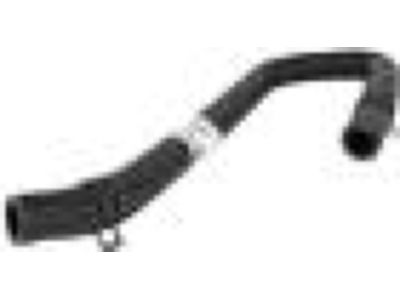 Ford 1F1Z-3691-AA Reservoir Hose