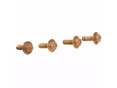 Ford -W707382-S403 Insert Screw