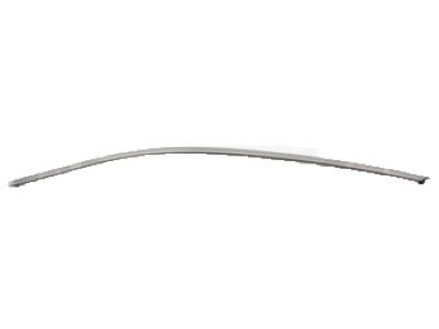 Ford AG1Z-5420551-B Upper Molding