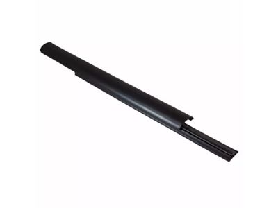 Ford 6L3Z-1825596-A Belt Weatherstrip