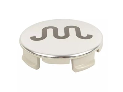 Ford FL3Z-1130-J Center Cap
