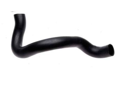 Ford E7TZ-8286-A Lower Hose