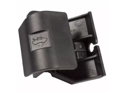 Ford 9L3Z-16916-AA Release Handle